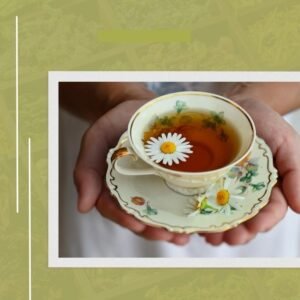10 best CBD tea to try in 2022