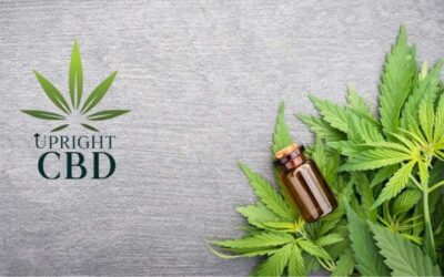 What is CBD: Benefits of CBD