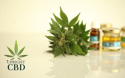 What are the types of CBD products? Benefits & why you should buy them