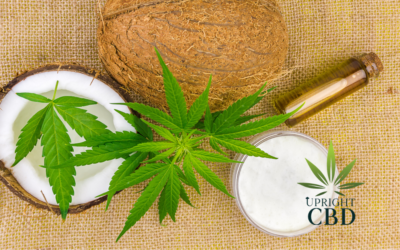 Best CBD Balm for Runners