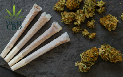 The Best CBD Cigarettes to Buy