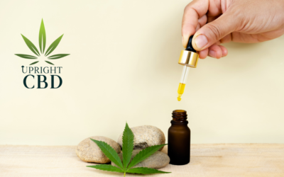 5 Best CBD drops: How to Choose Best CBD Drops