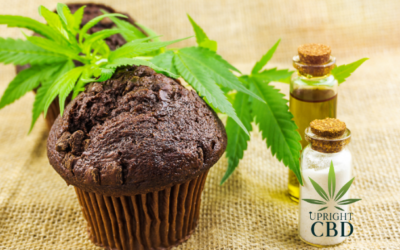 5 Best CBD Edibles: Efficient Approach To Healing