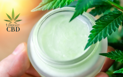 The Best CBD cream for Pain relief