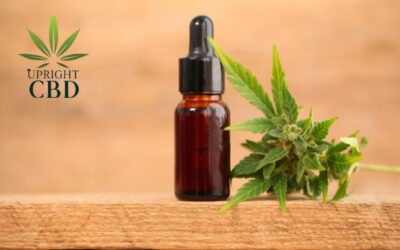 7 Best Affordable CBD Oil You Need to Know in 2022