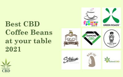 Best CBD Coffee Beans at your table 2021