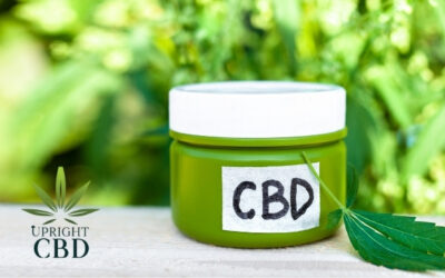 5 Best CBD Creams for Carpal Tunnel Syndrome