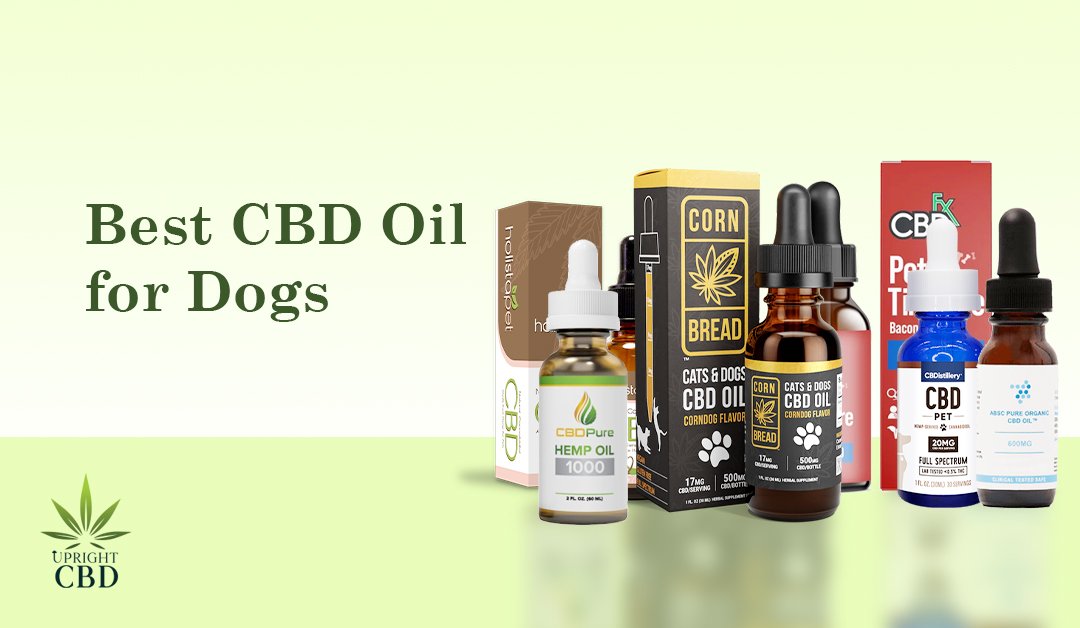 8 Best CBD Oil for Dogs: Reduce Anxiety, Pain & Inflammation