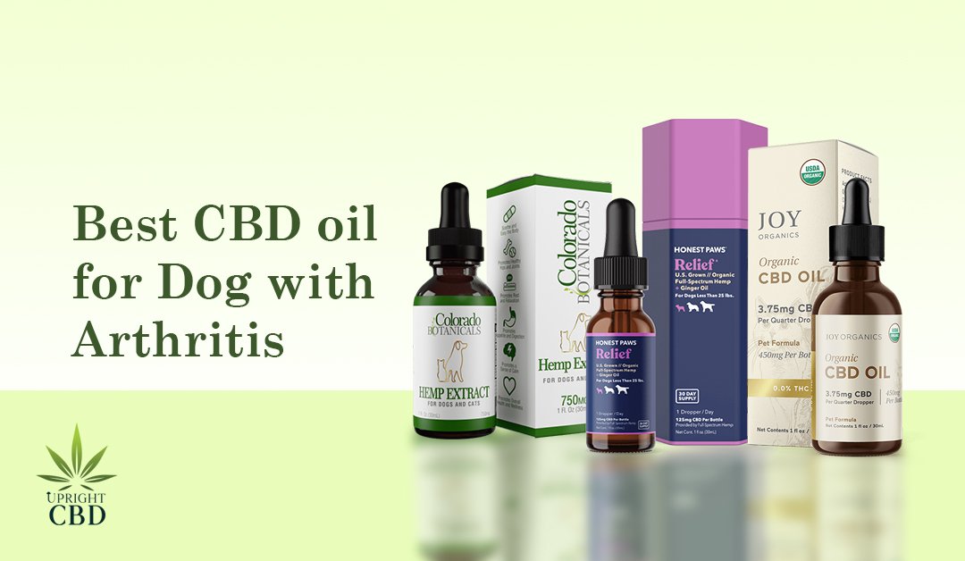 Best CBD oil for Dogs with Arthritish