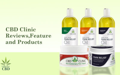 CBD Clinic Reviews in 2022 – 4 Best Products