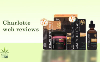 Charlotte’s Web CBD Reviews for 2022: Good, Bad and Best Products