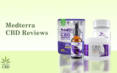 Medterra CBD Review For 2022: What to Know Before You Buy!