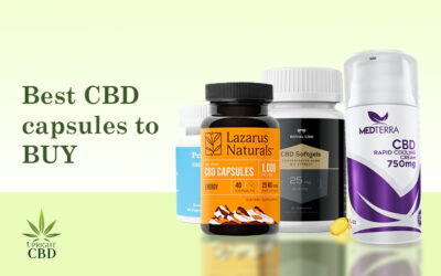 10 Best CBD Capsules To Buy In 2022:What You Should Know