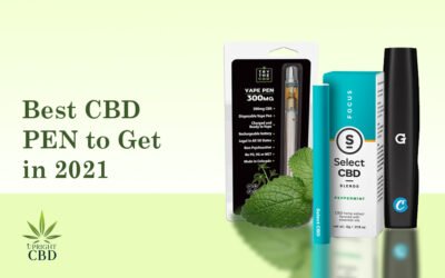 7 Best CBD Pen to Buy: A simple Guide