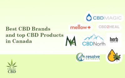 Best CBD Brands in Canada and top Products
