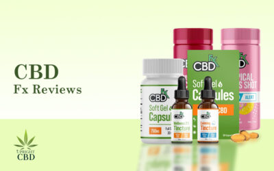 CBDfx Reviews 2022: Taking Strong Footprint in the CBD Industry