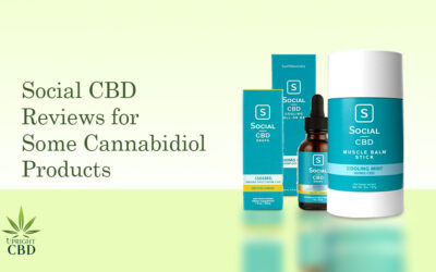 Social CBD Reviews 2022: Is it a great choice?
