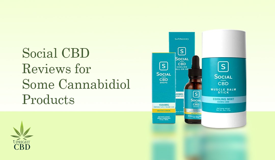 Social CBD Reviews: Is it a great choice?
