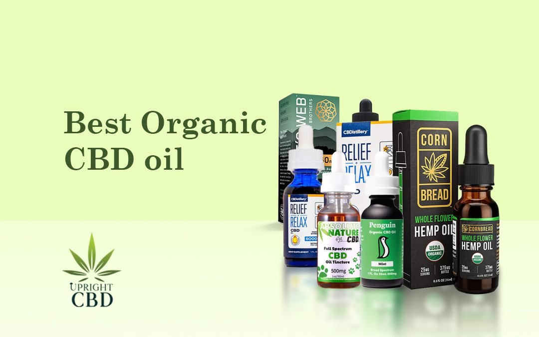 Best Organic CBD oil cover