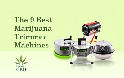 The 9 Best Marijuana Trimmer Machine: Choose the Right one!