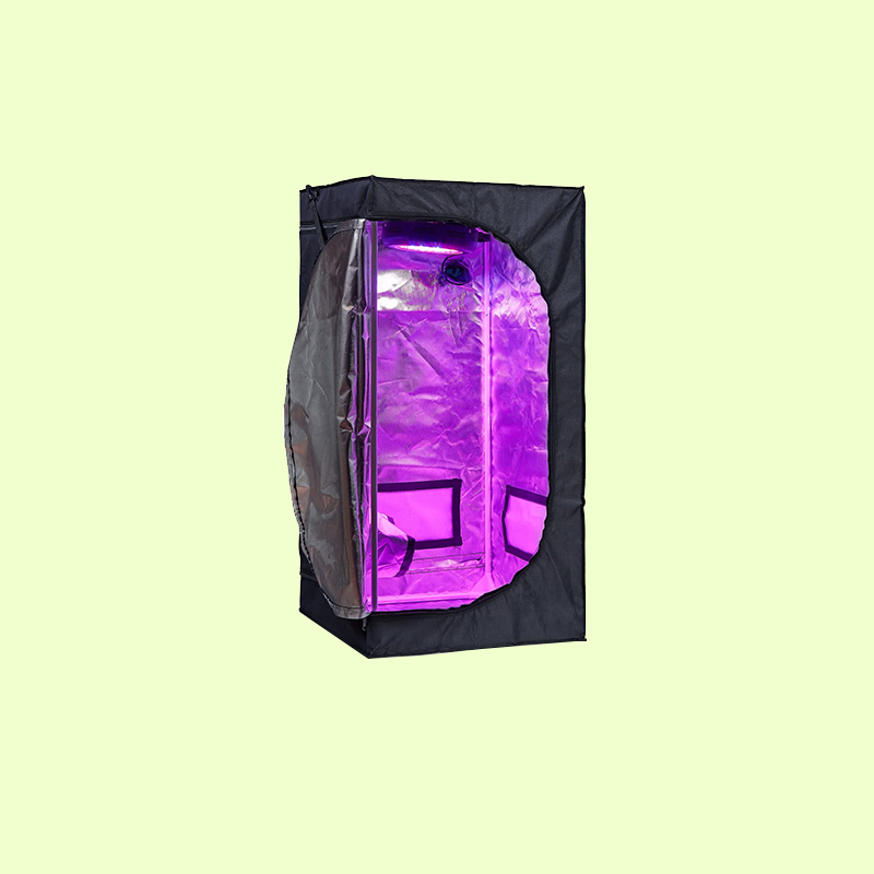 Small 24 x 24 x 48 inch indoor grow tent for one to two cannabis plants