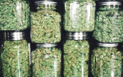 Best Curing Jars for Weed: 6 Jars Compared by Capacity and Cost per Ounce