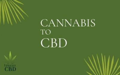 The Epic Journey: Cannabis to CBD