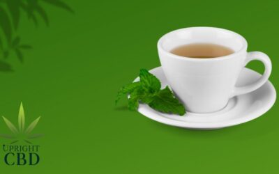 Best CBD Tea: A buying guide in 2022