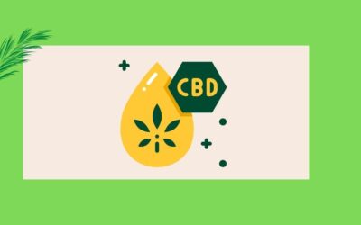 Effective CBD questions & answers of 2022
