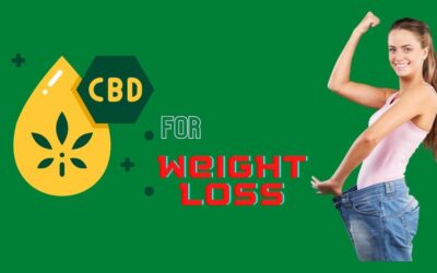 7 best CBD for weight loss: How does it help?