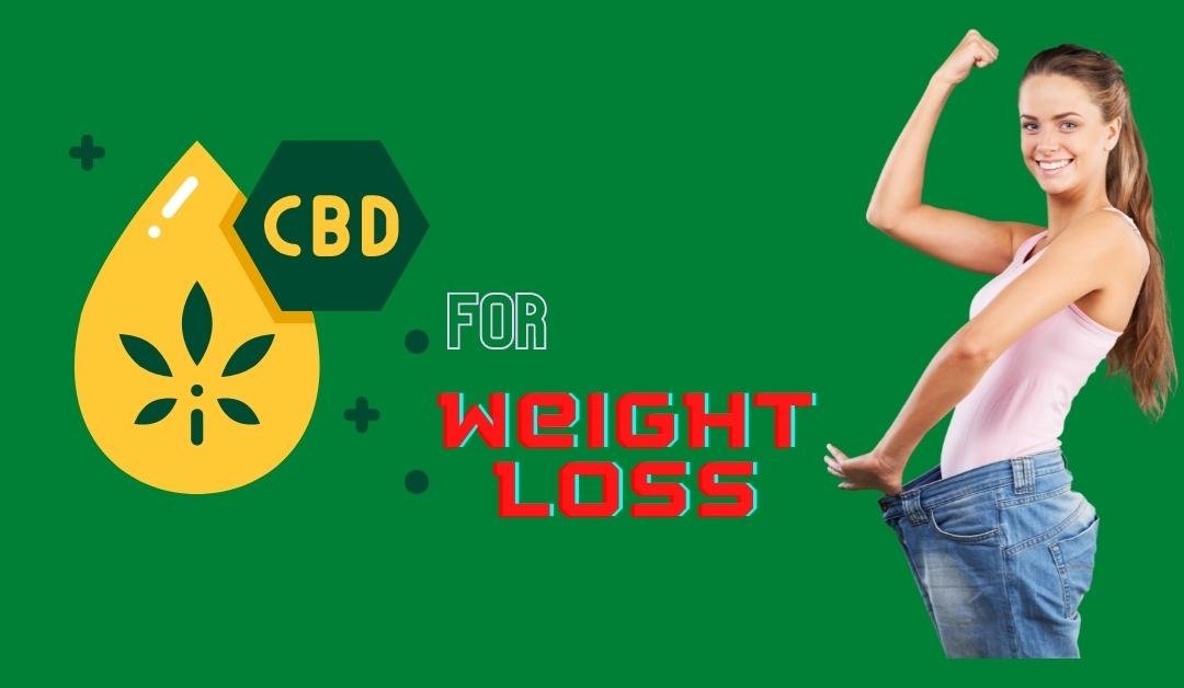 7 best CBD for weight loss: How does it help?