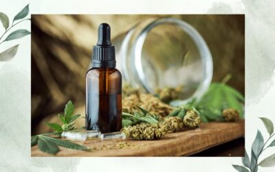 5 Best Broad Spectrum CBD Oil for performance : Get the CBD Without THC