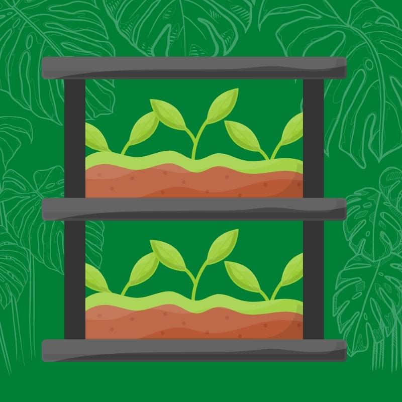 Indoor versus outdoor hemp farming comparison
