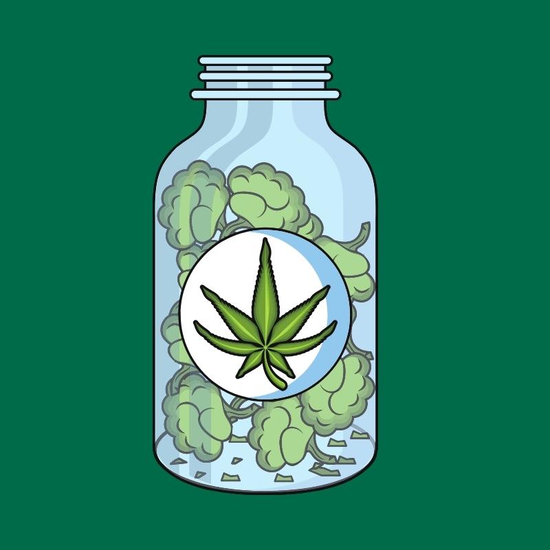 Hemp seedling, vegetative and flowering growth stages