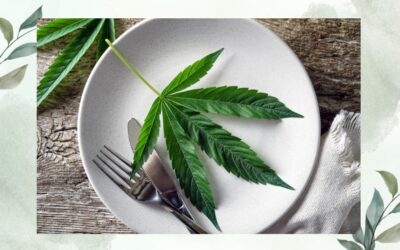 Best CBD Edibles: A pleasant way to take CBD in 2022