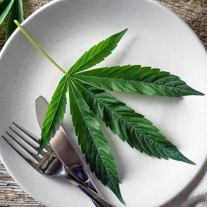 Potassium supplied by Terpinator during the flowering stage