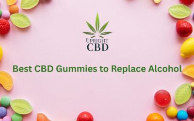 Best CBD Gummies to Replace Alcohol: Top 7 Products for Healthier Relaxation