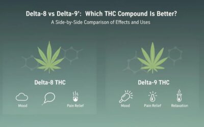 Delta 8 vs Delta 9: Which THC Compound Is Better?