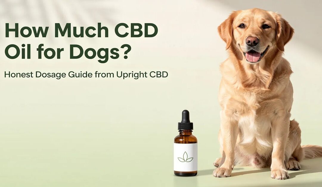 How Much CBD Oil for Dogs? Honest Dosage Guide from Upright CBD