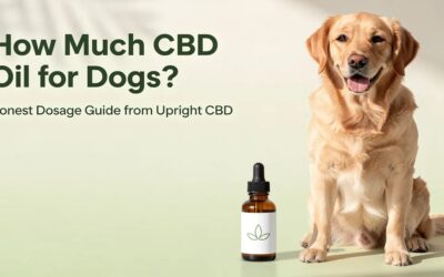How Much CBD Oil for Dogs? Honest Dosage Guide from Upright CBD