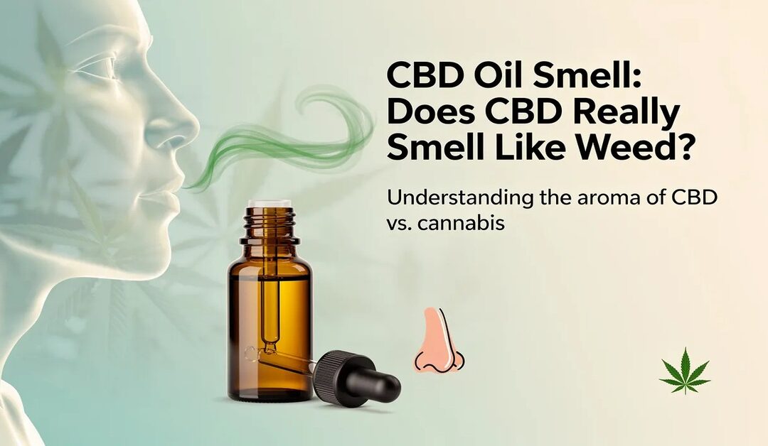 CBD Oil Smell: Does CBD Really Smell Like Weed?
