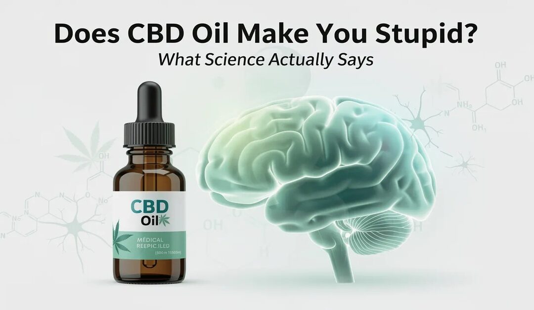Does CBD Oil Make You Stupid? What Science Actually Says