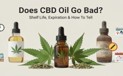 Does CBD Oil Go Bad? Shelf Life, Expiration & How To Tell
